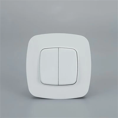 8604 2 Gang Switch